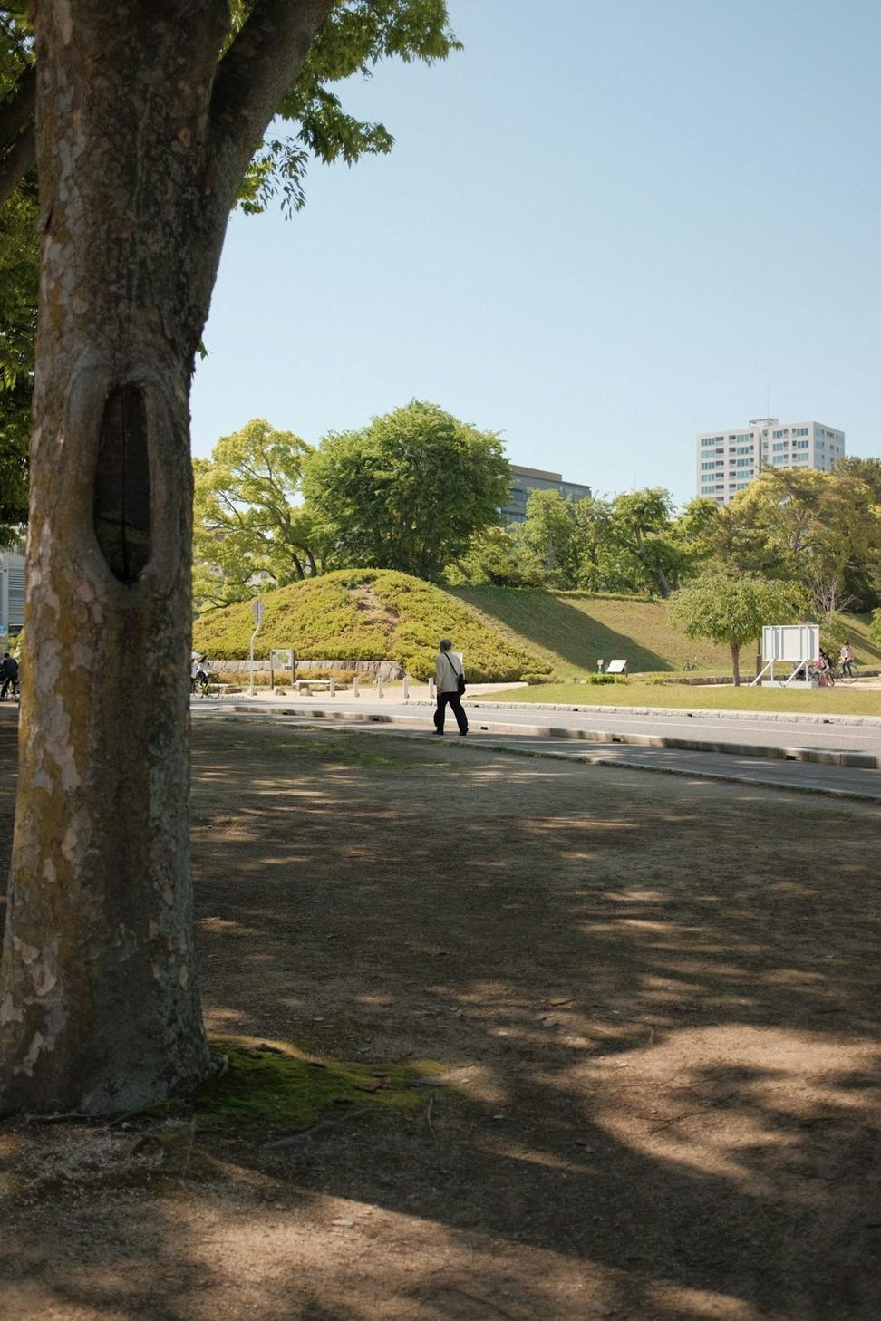 Queen's Park Urban Revitalization