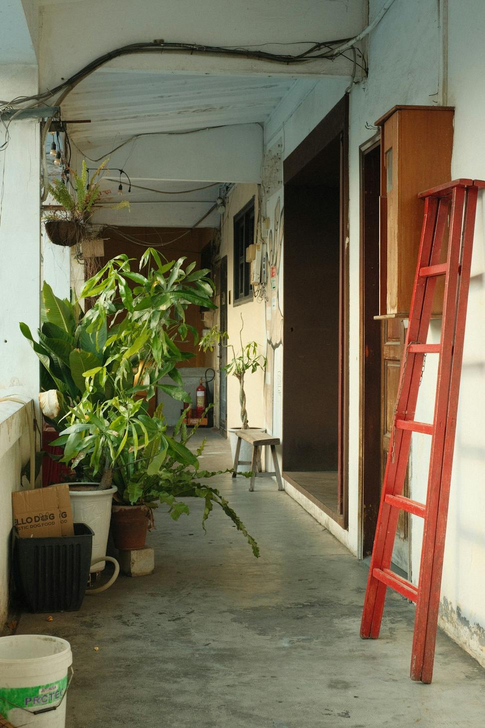 Rosedale Green Home